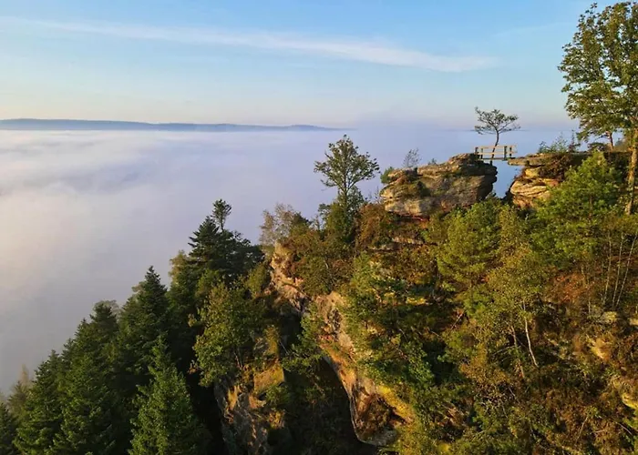 Chez Reine Calme Et Confort Dans Les Vosges Étival-Clairefontaine